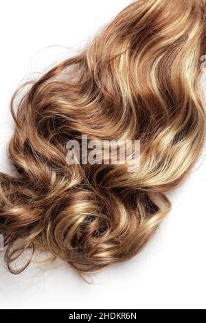 brown hair, long hair, brown hairs, dark hair, long hairs Stock Photo