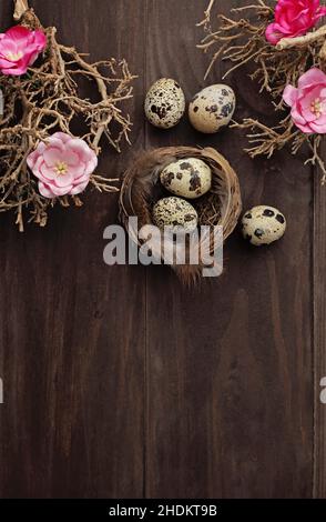bird's nest, quail, bird's nests, quails Stock Photo