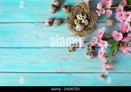 easter, easter egg, easter nest, easters, easter eggs Stock Photo