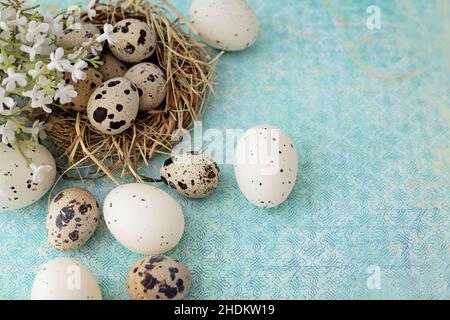 easter nest, quail, easter decoration, spring decoration, easters, quails, easter decorations, spring decorations Stock Photo