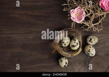 quail, easter decoration, bird's nest, quails, easter decorations, bird's nests Stock Photo