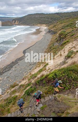 Hikers at South Cape Bay, Southwest National Park Stock Photo