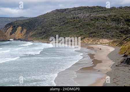 Hikers at South Cape Bay, Southwest National Park Stock Photo