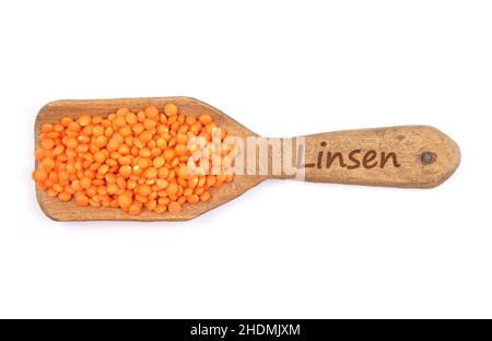 lentil, red lentils, lentils, red lentil Stock Photo