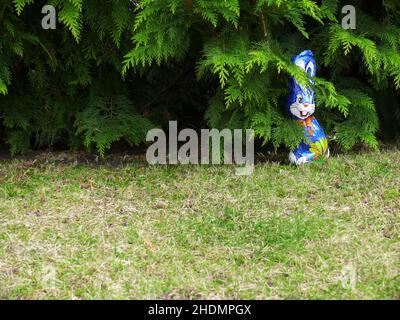 easter, hiding, easter bunny, chocolate bunny, easters, hide, easter bunnies, chocolate bunnies Stock Photo