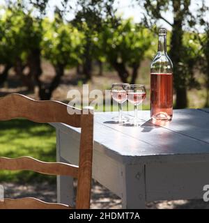 garden, summer, rose wine, gardens, summers, rose wines Stock Photo