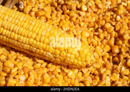 Fresh Roasted Sweet Corn at County Fair Stock Photo - Alamy