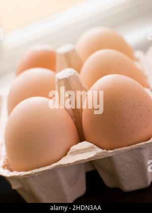 egg, egg carton, eggs, egg cartons Stock Photo