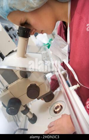 research, examining, microscope, lab assistant, researchs, exam, examination, microscopes, lab assistants Stock Photo