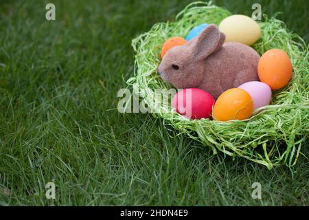 easter, easter egg, easter nest, easter bunny, easters, easter eggs, easter bunnies Stock Photo