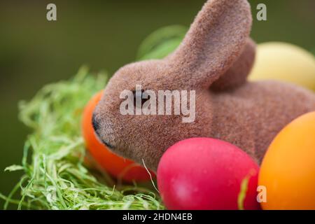 easter, easter bunny, easter eggs, easters, easter bunnies, easter egg Stock Photo