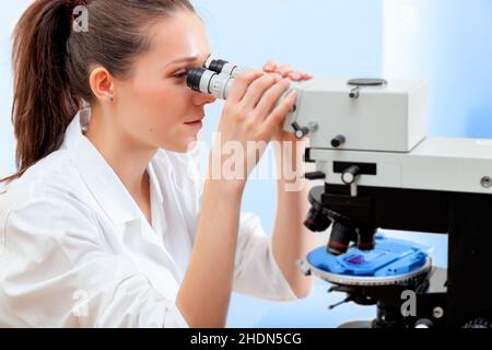 research, lab assistant, researchs, lab assistants Stock Photo