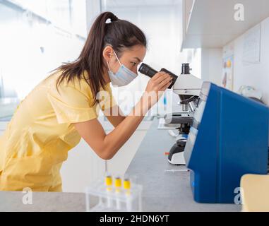 Female veterinarian looks through microscope in clinic Stock Photo