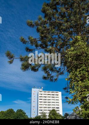 house, skyscraper, rostock, houses, high rise, skyscrapers, rostocks Stock Photo