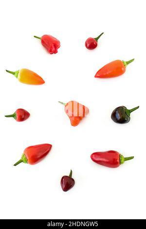 chili peppers, chilli peppers, chili pepper, chilli pepper Stock Photo