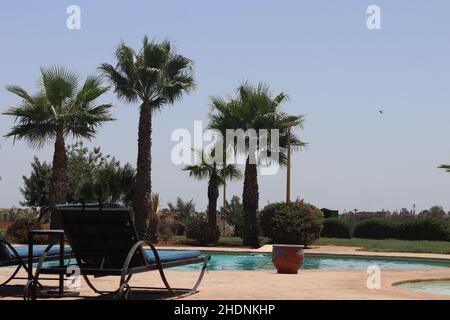 Sun loungers on the side of the pool under the blue sky Stock Photo