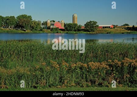 Farm with a red barn and silos across from Lake Martha in the early morning with beautiful reflections and goldenrod growing on the shoreline. Stock Photo