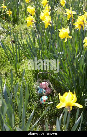 easter, easter egg hunt, easter eggs hidden, easters, easter egg hunts Stock Photo