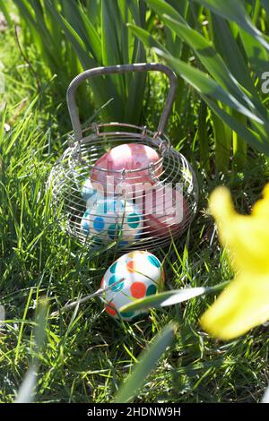 easter, easter egg hunt, easter eggs hidden, easters, easter egg hunts Stock Photo
