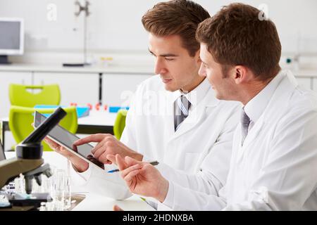 research, scientist, laboratory assistant, researchs, scientists, laboratory assistants Stock Photo