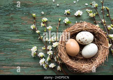 easter, easter nest, easter decoration, easters, easter decorations Stock Photo