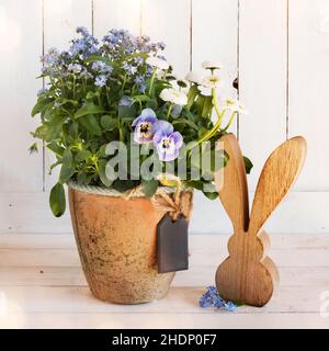 easter bunny, spring flowers, easter decoration, easter bunnies, spring flower, easter decorations Stock Photo