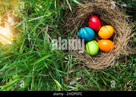 easter, easter nest, easter eggs, easters, easter egg Stock Photo