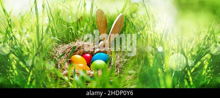easter, easter nest, easter time, easters Stock Photo