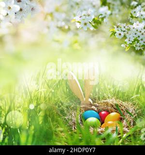 easter, easter nest, easter time, easters Stock Photo