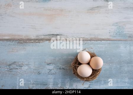 easter nest, bird's nest, easters, bird's nests Stock Photo