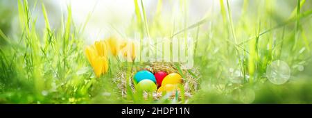 hiding, easter nest, hide, easters Stock Photo
