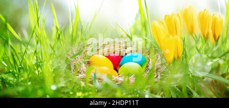 easter, easter nest, easters Stock Photo