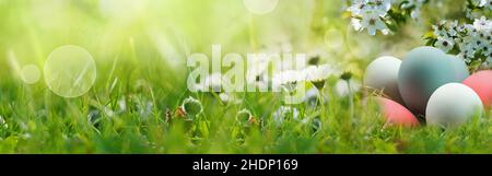 easter, easter greeting, easters Stock Photo