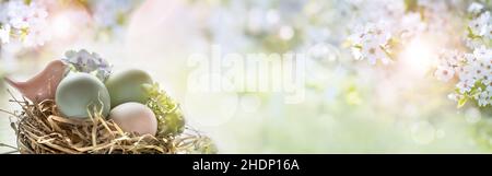 easter, easter nest, easter greeting, easter eggs, easter card, easters, easter egg, easter cards Stock Photo