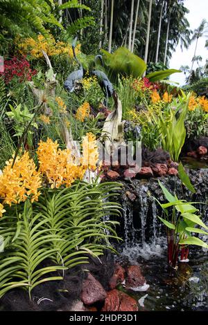 singapore, botanical garden, singapores, botanical gardens Stock Photo