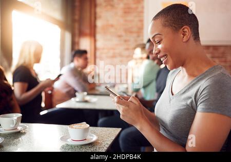 cafe, reading, internet, wlan, cafes, read, reading a book, reading something, to read, internets, web, wlans Stock Photo