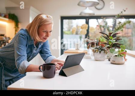 home, kitchen, internet, online, wlan, homes, kitchens, internets, web, onlines, wlans Stock Photo