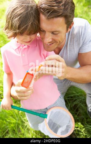 father, insect, son, catching, dad, fathers, insects, sons Stock Photo