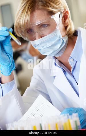 chemistry, research, lab assistant, chemistries, researchs, lab assistants Stock Photo