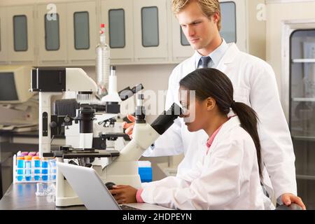 science, research, microscope, lab assistant, sciences, researchs, microscopes, lab assistants Stock Photo