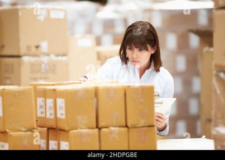 logistics, packing, warehouse clerk, logistic, trade, warehouse clerks Stock Photo