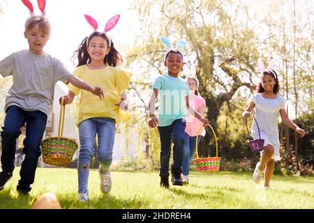 easter egg, easter celebration, searching, easter eggs, easters Stock Photo