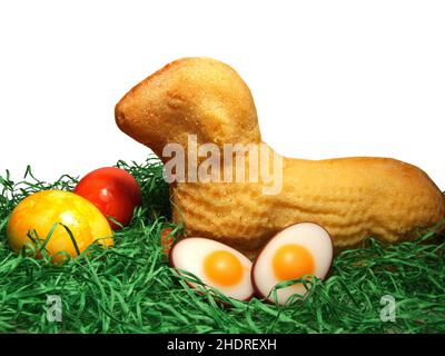 easter, easter egg, easters, easter eggs Stock Photo