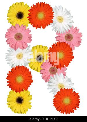 letter, gerbera, r, letters Stock Photo