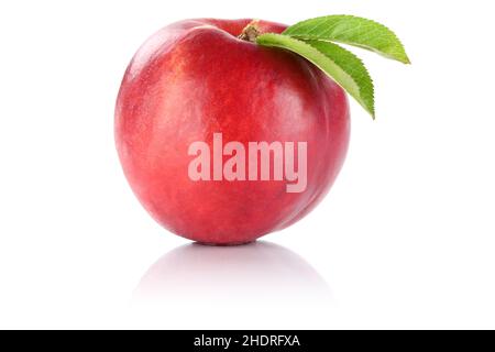 peach, pip fruit, nectarine, peachs, pip fruits, nectarines Stock Photo