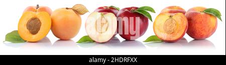 peach, stonefruit, apricot, nectarine, peachs, stonefruits, apricots, nectarines Stock Photo