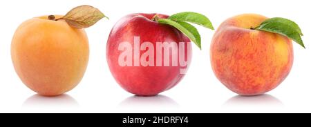 peach, stonefruit, apricot, nectarine, peachs, stonefruits, apricots, nectarines Stock Photo