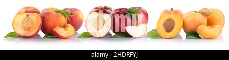 peach, stonefruit, apricot, nectarine, peachs, stonefruits, apricots, nectarines Stock Photo