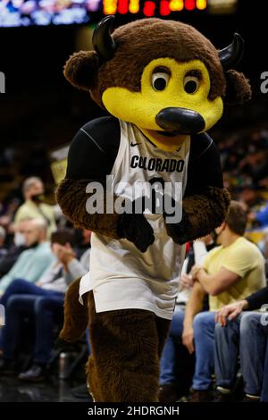 Boulder, CO, USA. 06th Jan, 2022. Colorado mascot Chip the Buffalo roams the sideline in the men's basketball game between Colorado and Washington State at the Coors Events center in Boulder, CO. Derek Regensburger/CSM/Alamy Live News Stock Photo