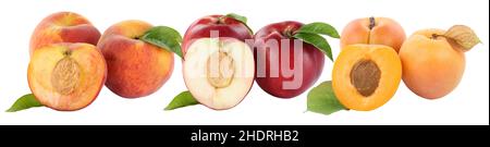 peach, apricot, nectarine, peachs, apricots, nectarines Stock Photo